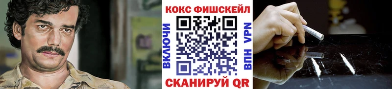 Cocaine Fish Scale  купить наркоту  Ишимбай 