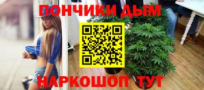 spice Коммунар